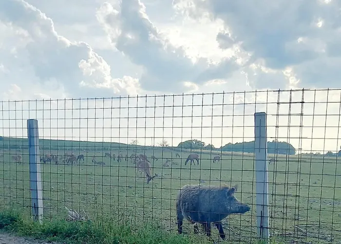 U Sykorky Farm stay *