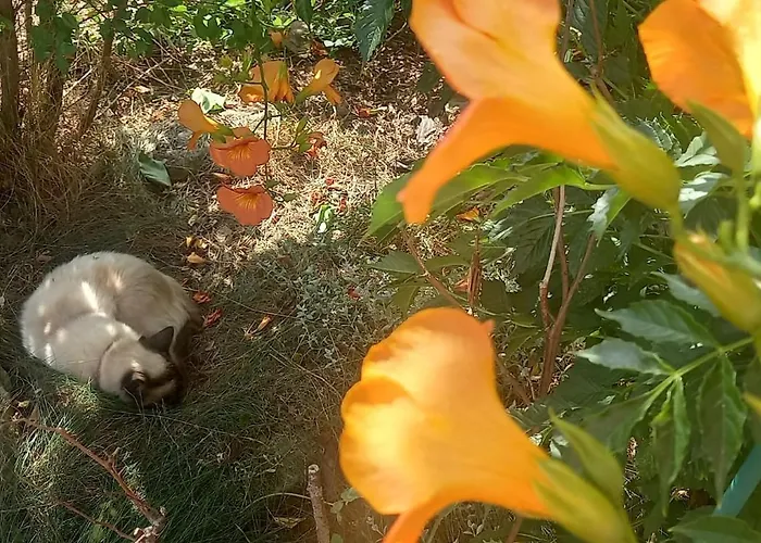 Farm stay U Sykorky